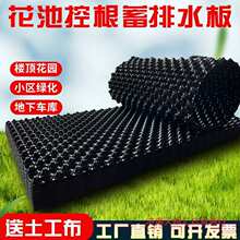 ��ˮ�廨����픷N�˷N��������G�������Ĥˮ�廨�@�Vˮ����ˮ��