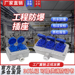 防爆ソケット 220V 5穴 表面実装 10A/16A 隠蔽型 86型 工業用防水 3穴端子台 ピン