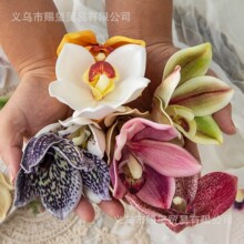 ���滨���z��3D���z��ޥ�m���^ ������ֶY�^���b��»�Y