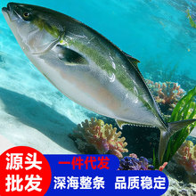 ����~�͸����l���~���и�����ʳ�����r�S�����r�͜ؽ��~��