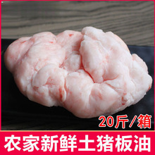 20斤整箱新鲜猪板油农家散养现取土猪油5-10斤生猪肥油猪大油荤油
