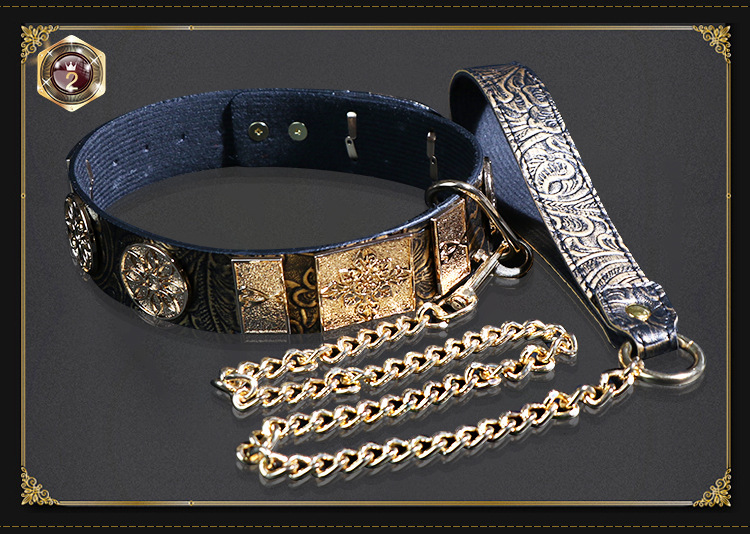 Jiuai SM Flying Fish Collar and Chain Set with Metal and Leather Bondage Accessories — detail image 4