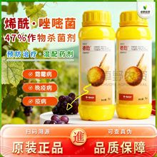 ˹47%׾ϩ˪ù߲rș