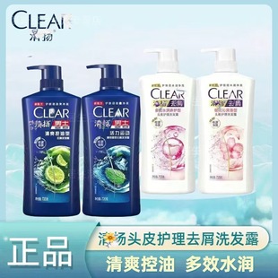 Qingyang shampoo 750g dew liquid men's special oil control cleansing dandruff oil fluffy shampoo official authentic