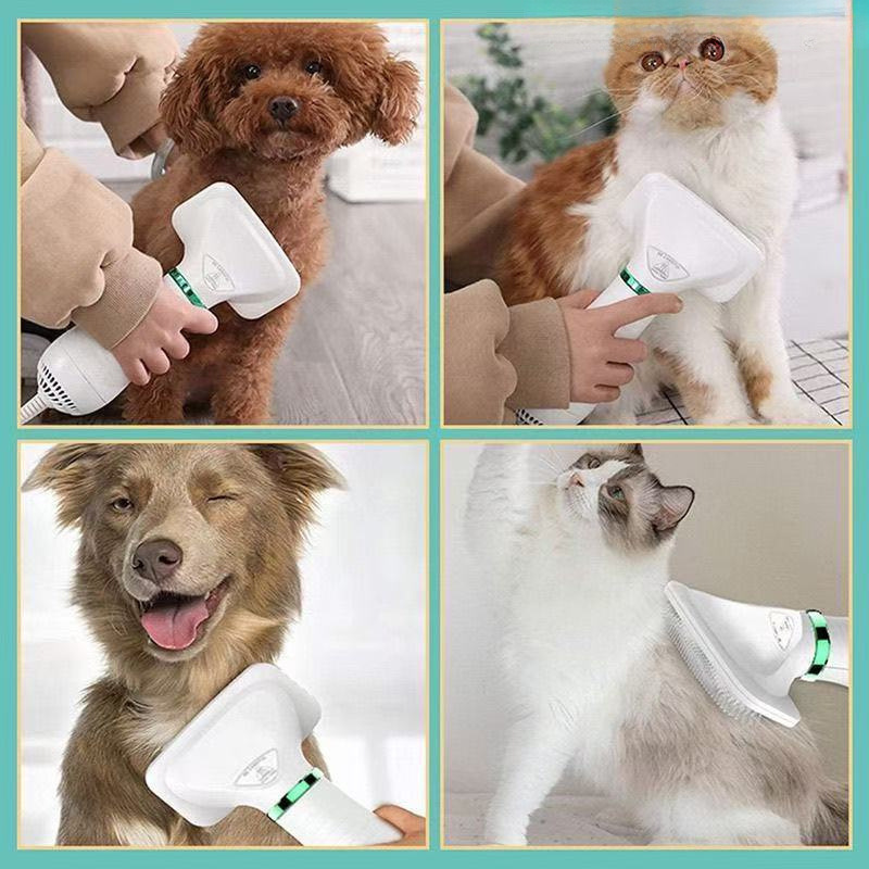 Secador y Cepillo para Mascotas de Secado Rápido para Perros y Gatos