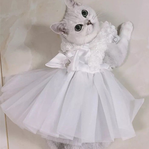 formal cat dress Cute Striped Kitty Dress