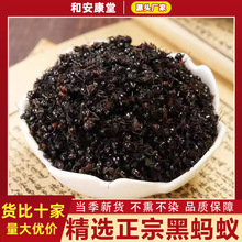 长白山正宗黑蚂蚁中药材东北食用黑蚂蚁干拟黑多刺蚁大酸蚂蚁泡酒