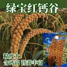 ���B�t��ȹ��� С�׼t�����S���B����ŴС�׷N����׷N�Ӵ��ﲥ