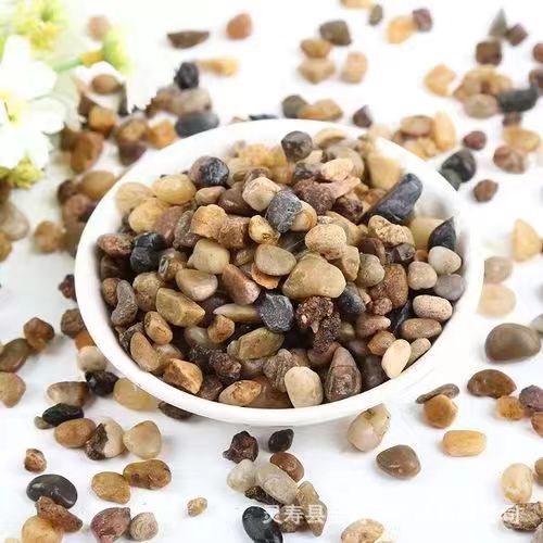 a4430ff79a501ea45d4b49b7750fbb