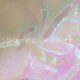 Fashion Colorful Laser Fish Scale Dense Mesh Performance Stage Clothing Fabric Wedding Background Decorative Sequin Fabric