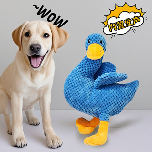 �羳�F؛������߽␞�l��ҧ��ë����ȮС���»����������w����