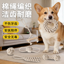 �羳���uС��������b�ބ��鹷�����ҧ����ĥ���␞�����K�Y���