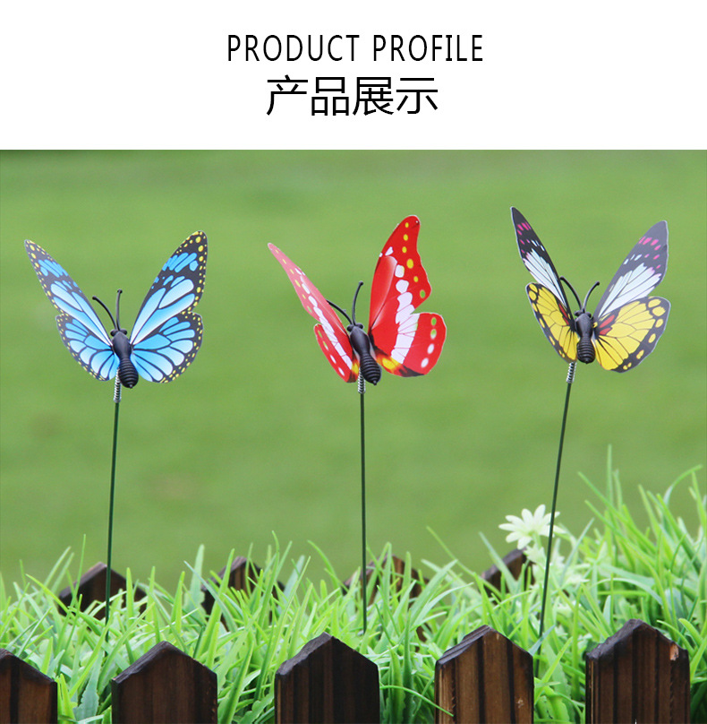 插杆蝴蝶_07.jpg