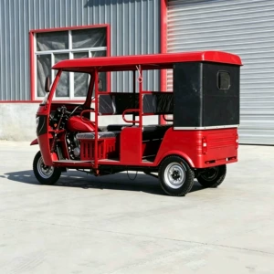 Cross-border export of multi-person passenger fuel-powered tricycles, scenic area sightseeing passenger tricycles with large space for home use and commercial operations