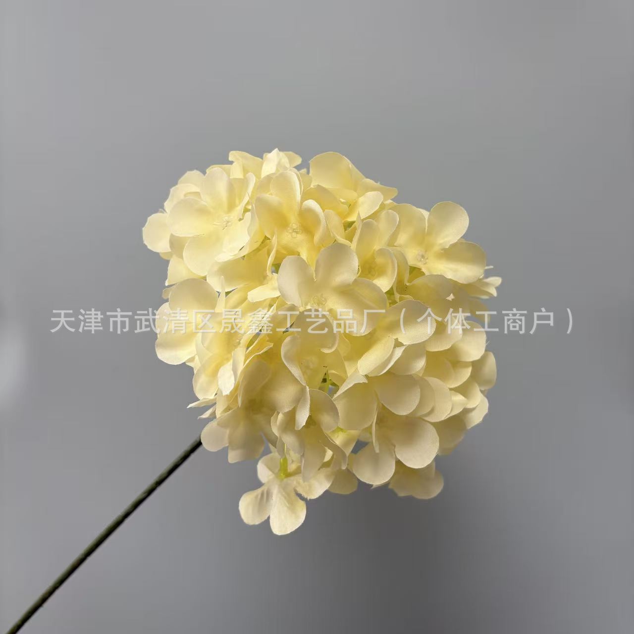 Light yellow champagne
