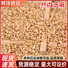 熟白芝麻炒熟即食白芝麻现货批发 带皮熟白芝麻 散装25公斤