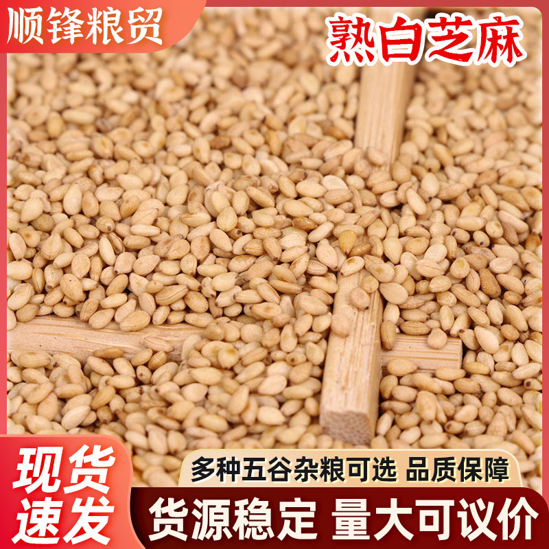 熟白芝麻炒熟即食白芝麻现货批发 带皮熟白芝麻 散装25公斤