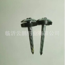 ��\�����   �黨�U  ��U   �����z�|Ƭ   1.5&ldquo;XBWG9   2"