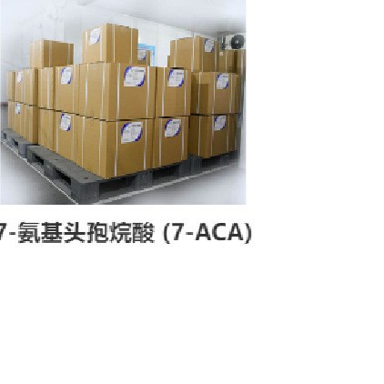 7-氨基头孢烷酸957-68-6