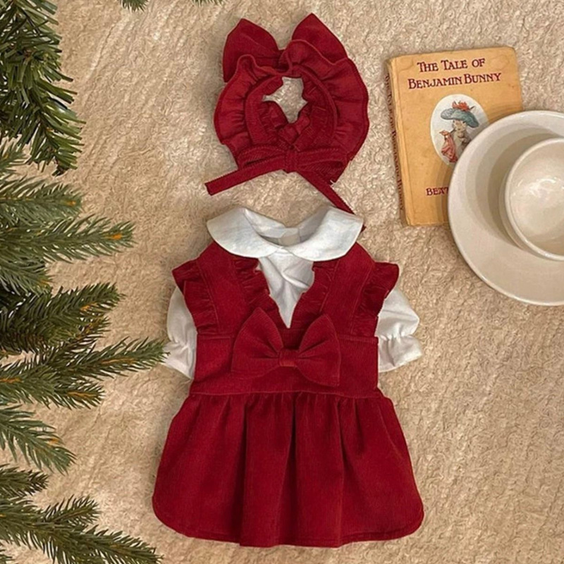 (2개) 개 옷 가을과 겨울 원피스 테디 비터 곰 포메 작은 개 애완 동물 고양이 VIP 봄과 가을 스커트