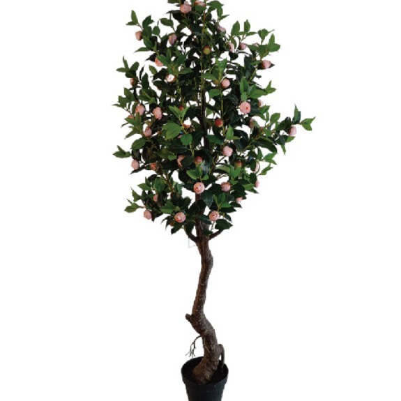 Árbol de Camelia Artificial para Decoración de Interiores, Planta Artificial en Maceta para Exhibición en Ventanas, Decoración Suave para Paisajismo, Fabricante de Árboles de Camelia Artificiales