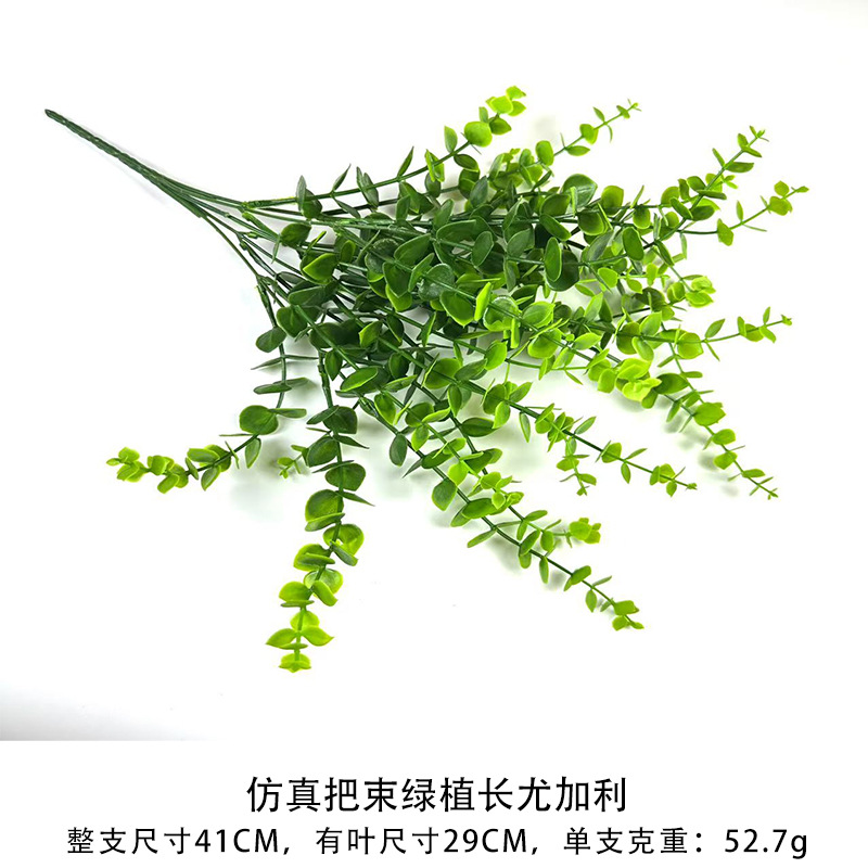 녹색 식물과 유칼립투스의 시뮬레이션 묶음