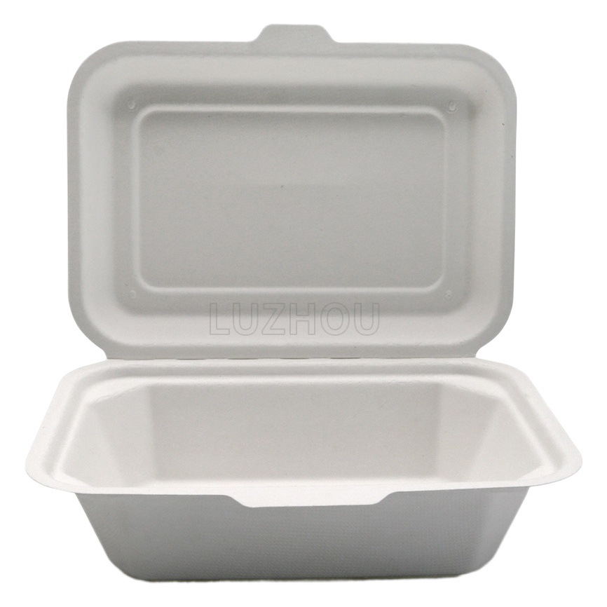 Verde Pulpa de caña de azúcar Pulpa de bambú desechable protección del medio ambiente Vajilla no rejilla 600ml caja de bloqueo degradable compostable