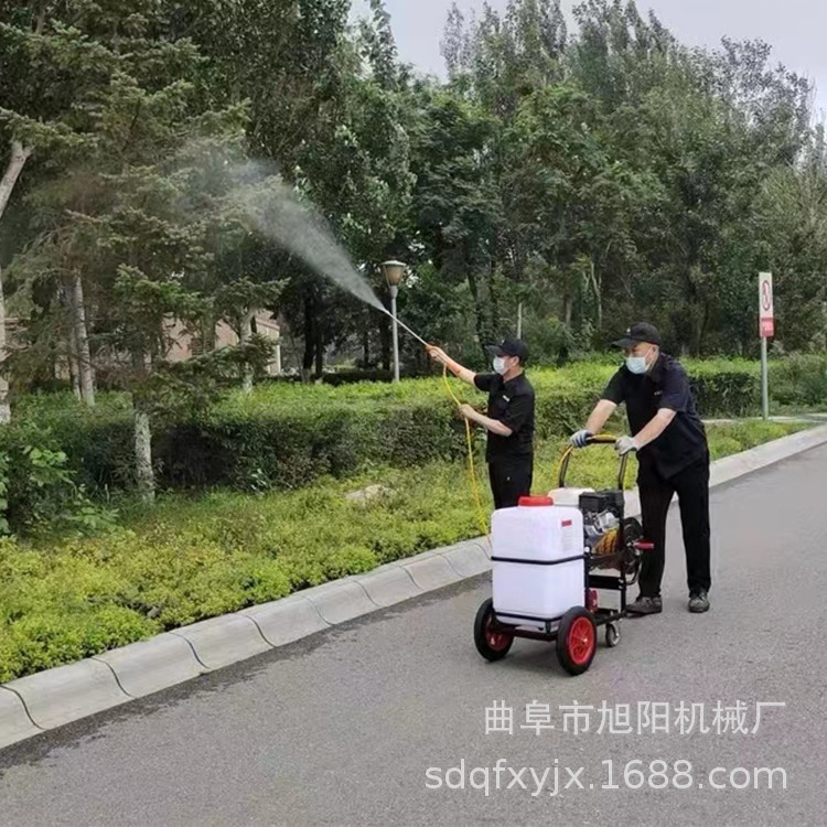 公园杀虫绿化喷雾机 60升汽油动力打药机 推拉式高压远程喷药机