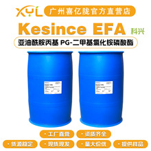 ���� Kesince EFA ������������ PG-���׻��Ȼ�������� �黯��