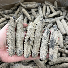 直销淡干冲子参海参干货20-60头精选货可与关东关西参肉质媲美