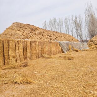 ���S�ݺ��ӱ��ز�ɻ�ӷ����o�·�ɳ���ﱣ�ط���