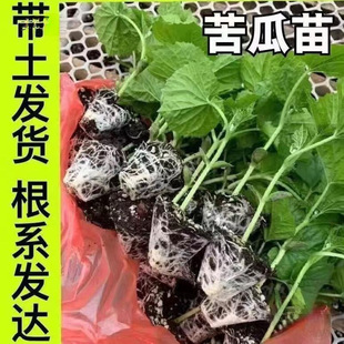 �����߮a����G����玧����������ϷN�Ӵ����߲���׉�����