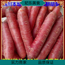 四川农家蔬菜新鲜胡萝卜5斤水果萝卜沙地红心萝卜脆甜 沙窝甜萝卜