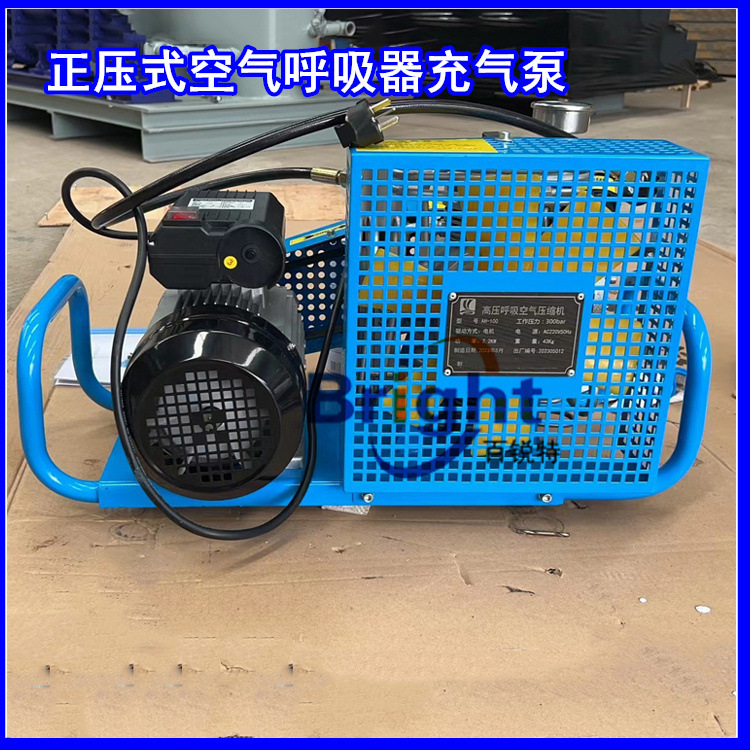 MCH6/EM高压呼吸器空气压缩机 空气充气泵 填充泵 进口机芯