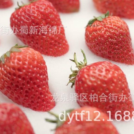 草莓海绵托包装/草莓泡沫托包装/草莓海绵托内衬/草莓海绵托衬垫