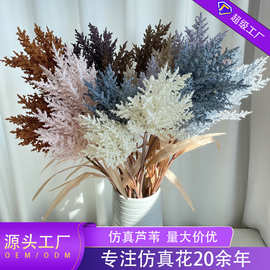 2头仿真芦苇棒酒店样板间插花北欧ins风家居装饰婚庆摄影道具假花