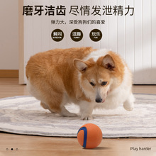 新款TPR制品抛掷玩具狗狗啃咬磨牙解闷球耐咬不烂实心弹力逗狗球