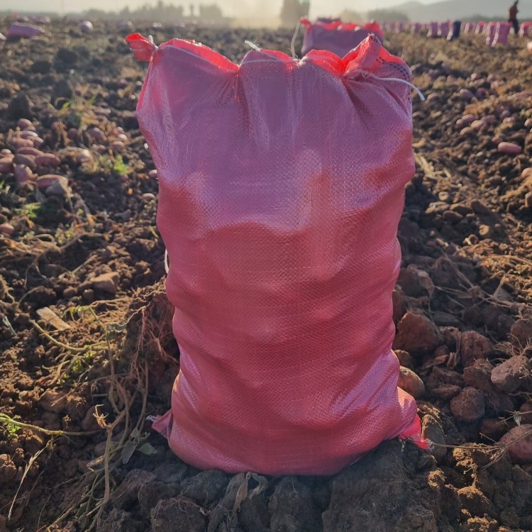 Fabricante de exportación directa calidad América del Sur Rusia Europa especial bolsa de papas bolsa de cebolla 25kg puede perforar