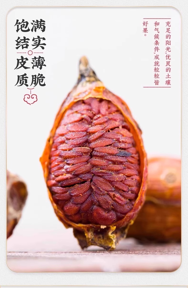 Gardenia Fruit Zhi Zi 70g Jar Sun Dried Food Grade Herbal Tea Ingredient in use