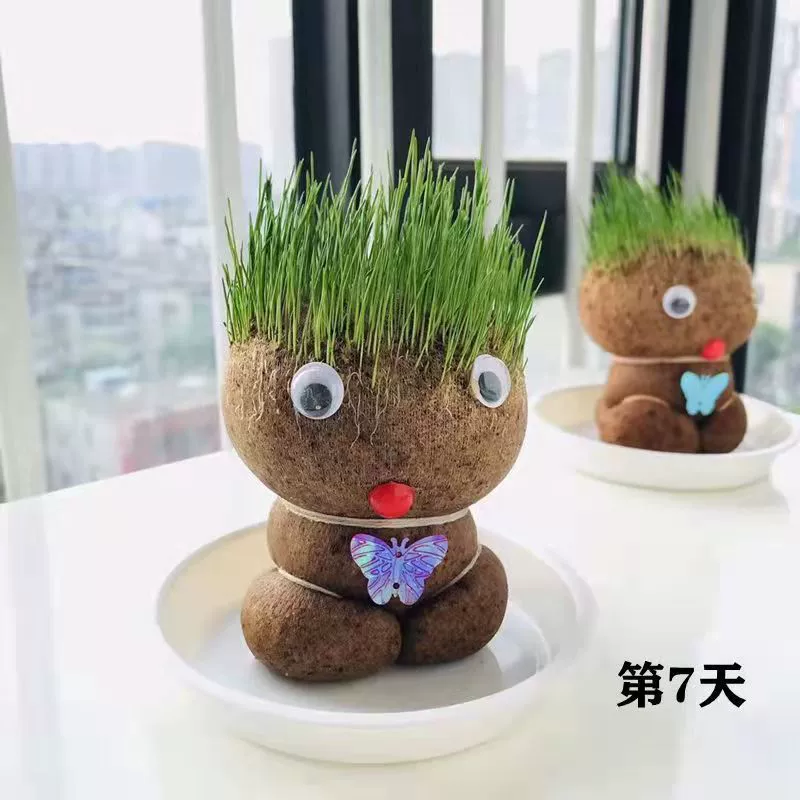 TikTok, милая головка куклы на стол, новая коллекция