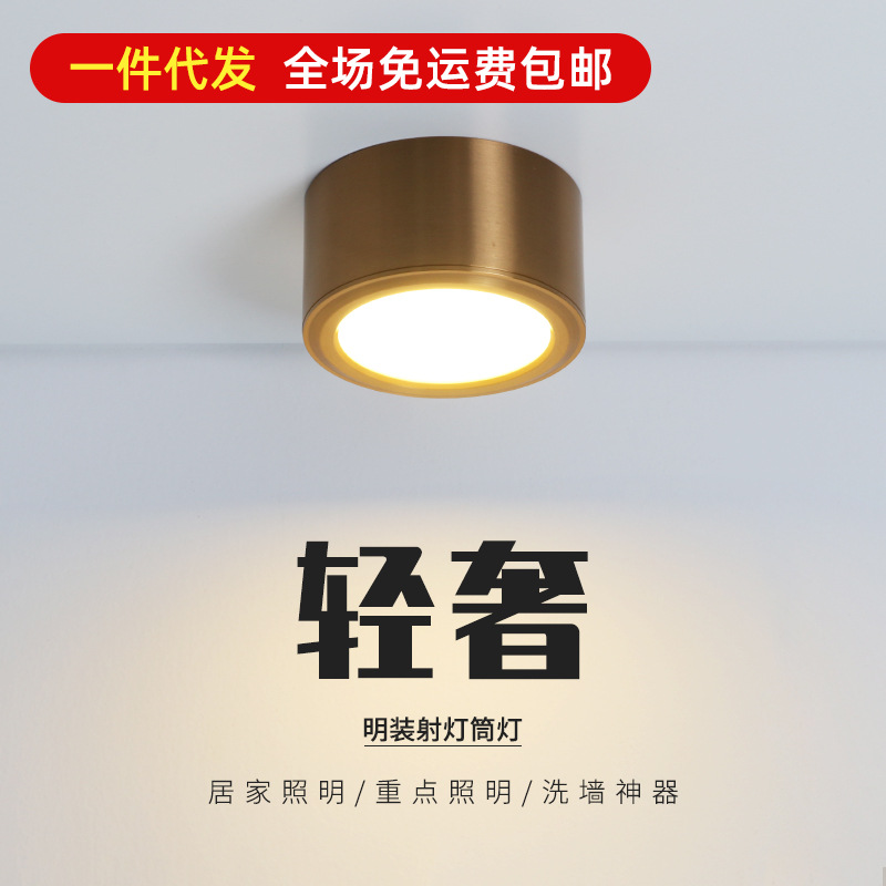 Post-moderno Luz de lujo sala de estar dormitorio downlight tienda de ropa ventana pasillo de alta gama lujo oro abierto-montado proyector