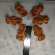 ë�q����6cm���׼t��ɫ�LëС���P��DIY�b�Ʒ����·������o��