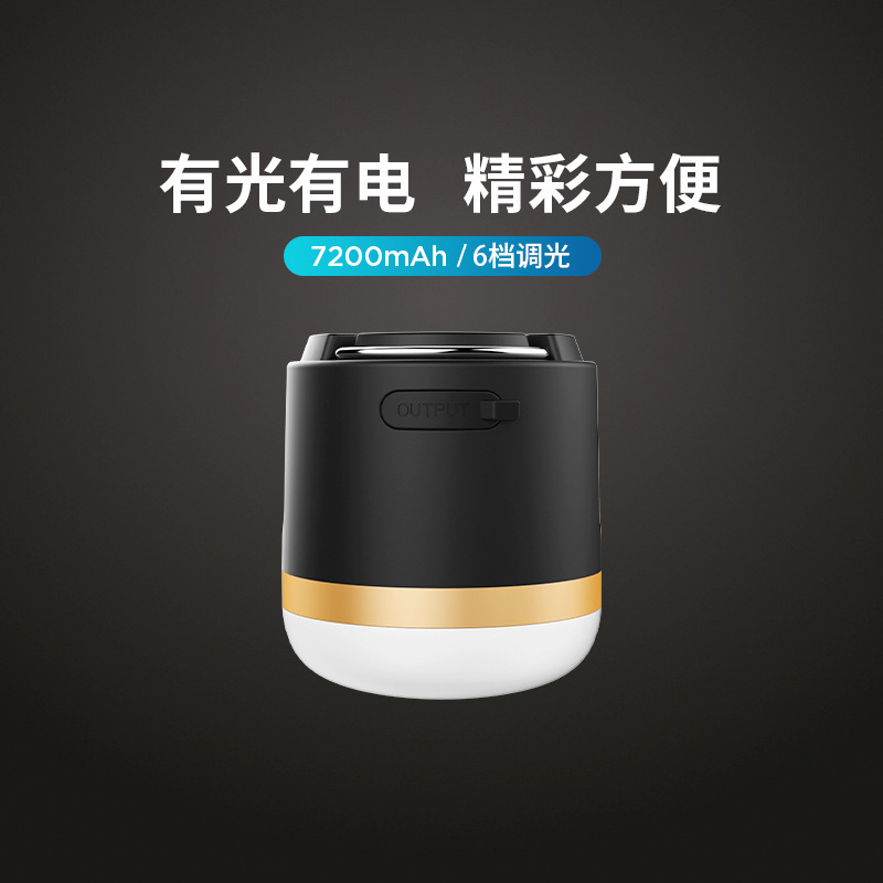 EcoFlow正浩多功能智能户外便携超亮应急露营帐篷灯可以充充电11