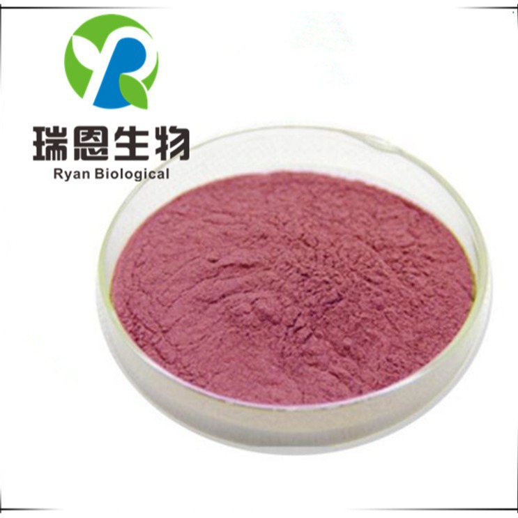 5%花青素优质巴西莓原果粉巴西莓提取物现货免邮厂家