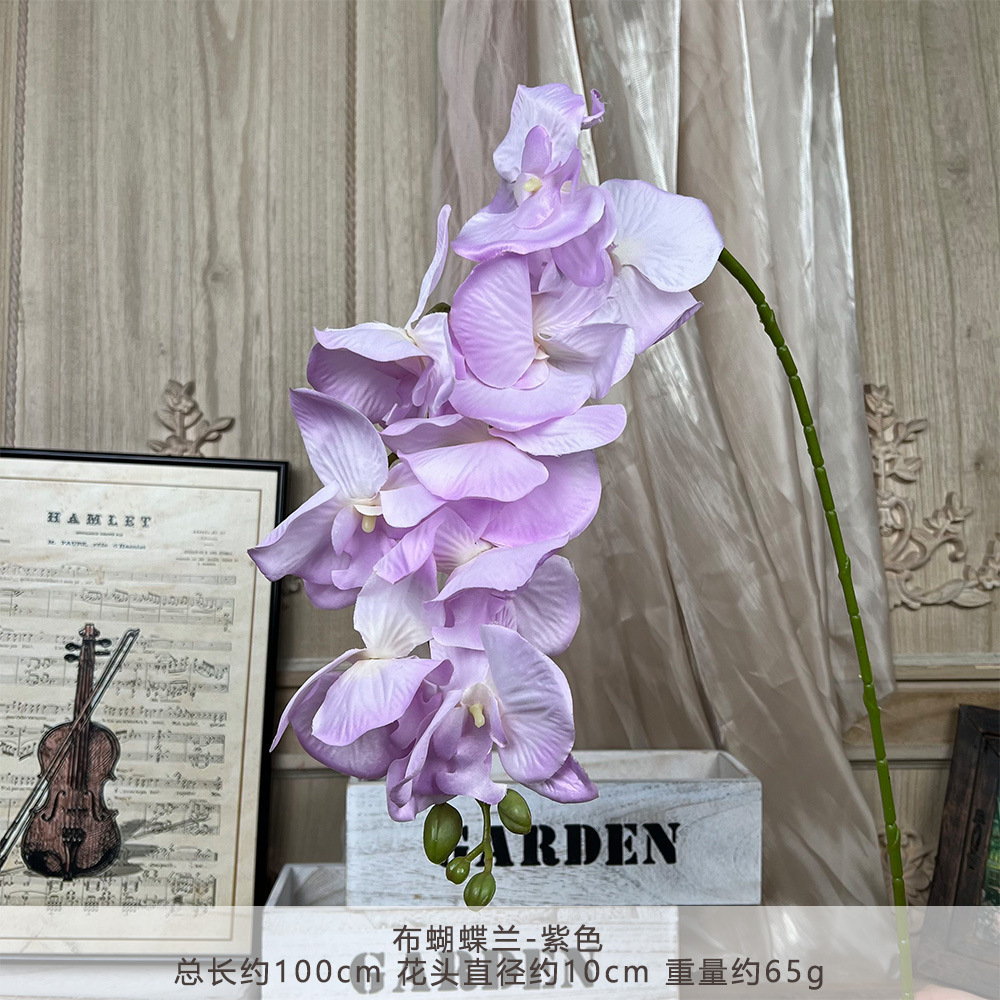 XD-cloth phalaenopsis-purple