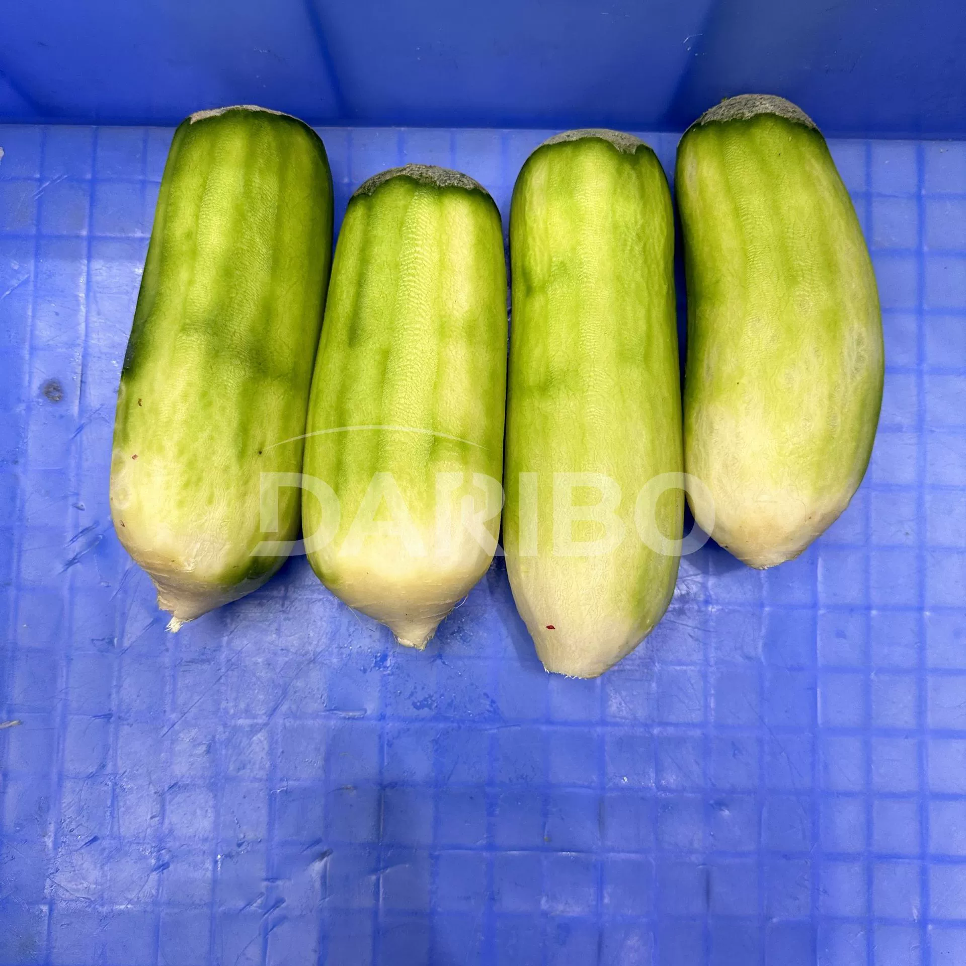 L Гуандун белая редька машина для очистки кожи большой коммерческий производитель из нержавеющей стали прямая белая редька машина для очистки кожи