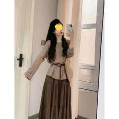 胖温柔风休闲套装秋季新款长袖上衣半身裙时尚成熟显瘦大码女装