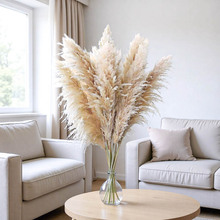 ��Ȕ�ɻ���ë���JȔ��Ȕ����˹�ݼҾ��bS�����l��Ȼ�ɻ�