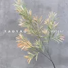 Single bamboo leaf yellow
