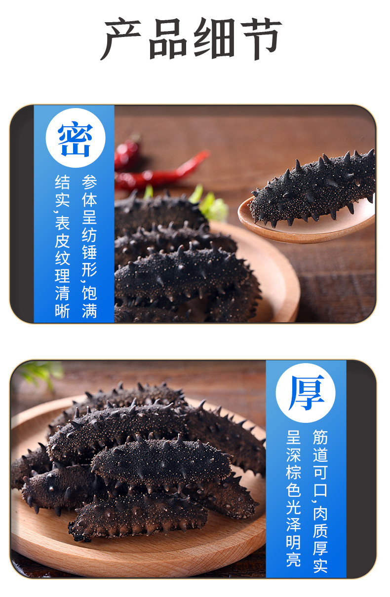淡干海参-(1)_08